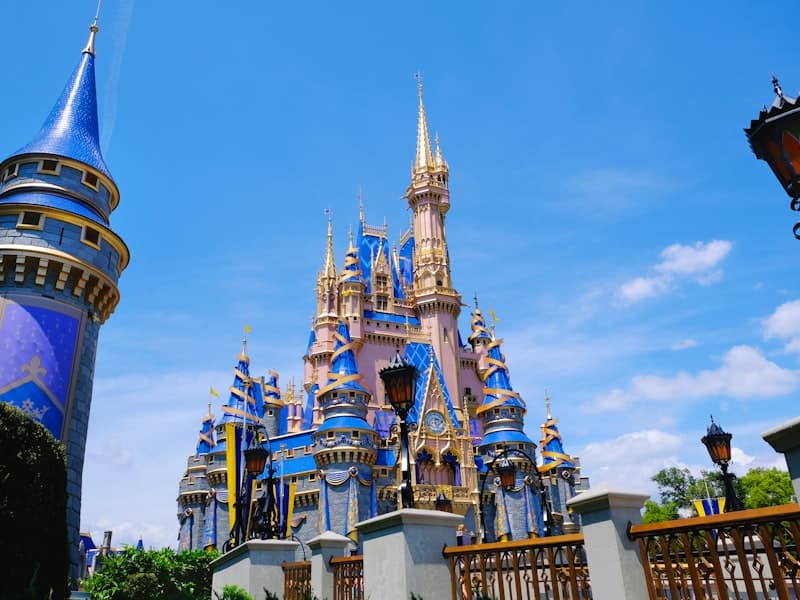 Walt Disney World experience 3