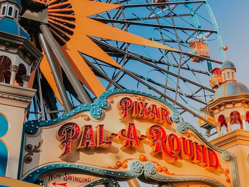 Disneyland Resort experience 3